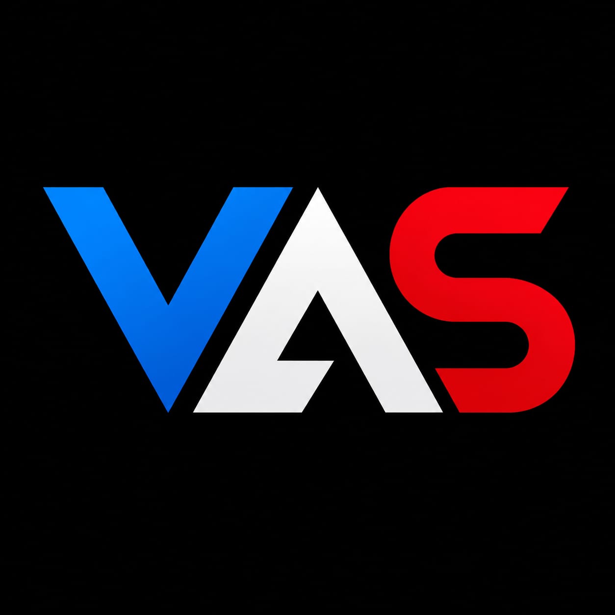 VAS Experts logo